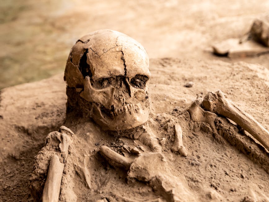 What the Real Archaeological Record Leaves Open (Image Credits: Pexels)