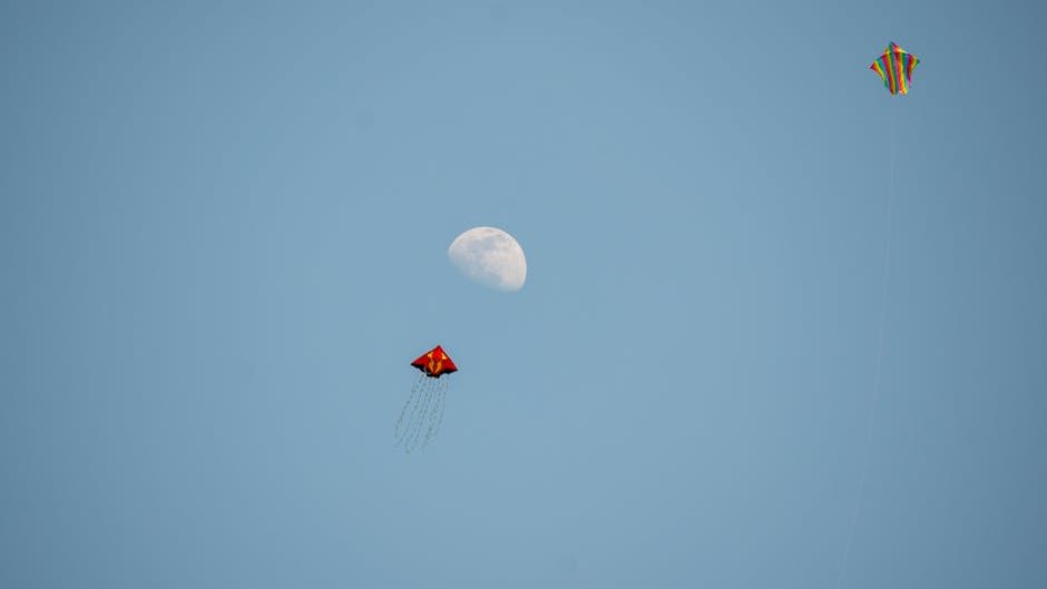 Changing Your Mind: A Fleeting Kite