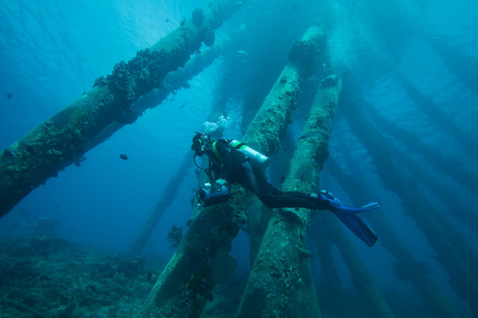 The Discovery That Started It All: A Sonar Survey Off Cuba (Image Credits: Pexels)