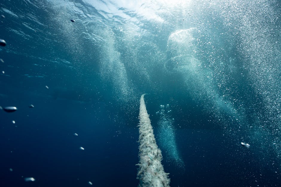What the Sonar Actually Showed (Image Credits: Pexels)
