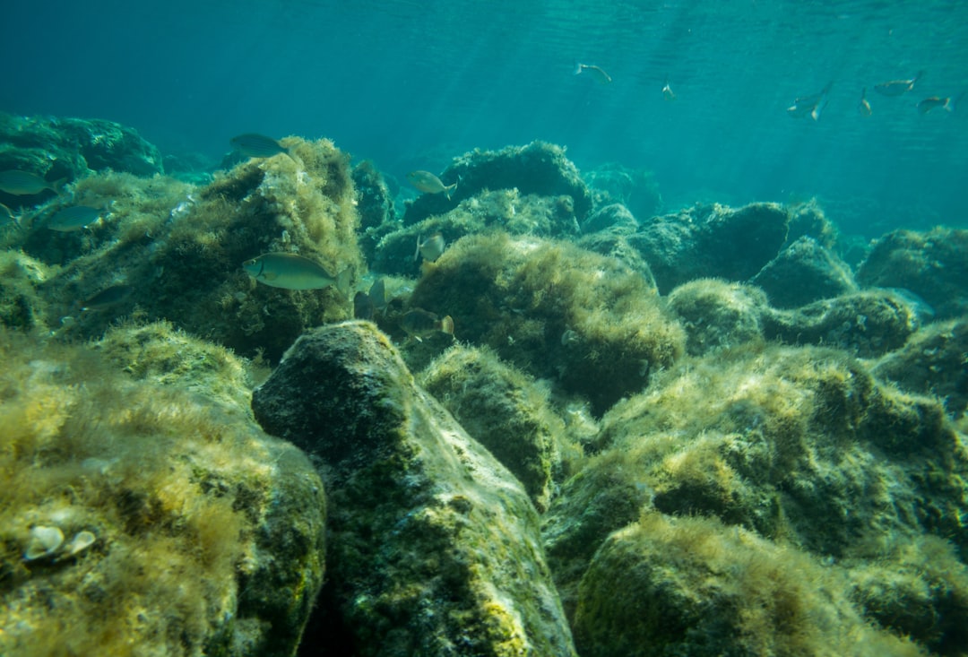 The ROV Follow-Up: Stone Blocks and Pyramid Shapes (Image Credits: Unsplash)