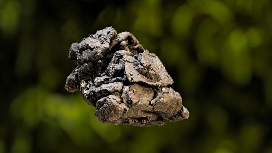How a Meteorite Helps Explain Mercury's Chemical Makeup