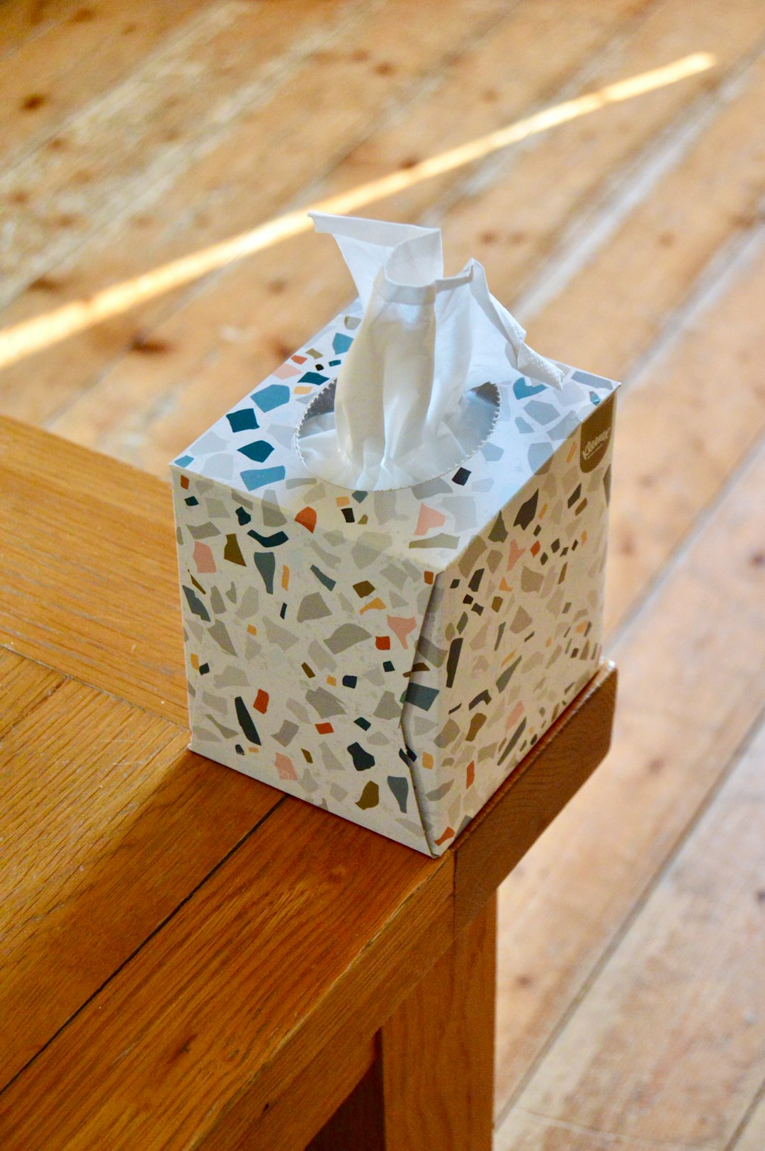The Tissue Box Gambit: Lona Cohen's Most Dangerous Run (Image Credits: Unsplash)