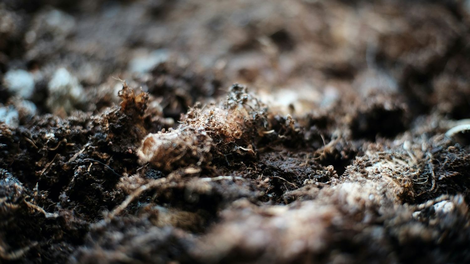 Buried in soil, a 100-million-year-old bacterial toxin could reshape pest control and antibiotic discovery