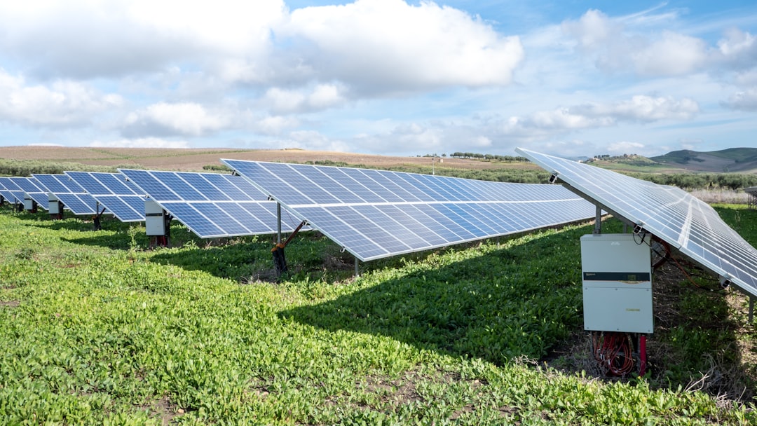 Türkiye’s COP31 presidency and IEA join forces on clean energy push