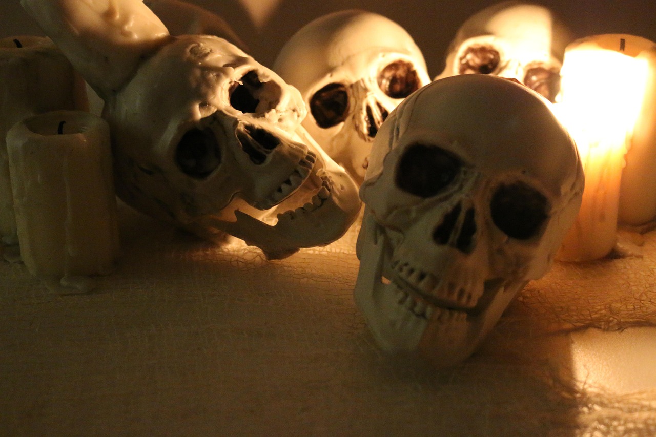The Fossil Clue From Nigeria (Image Credits: Pixabay)