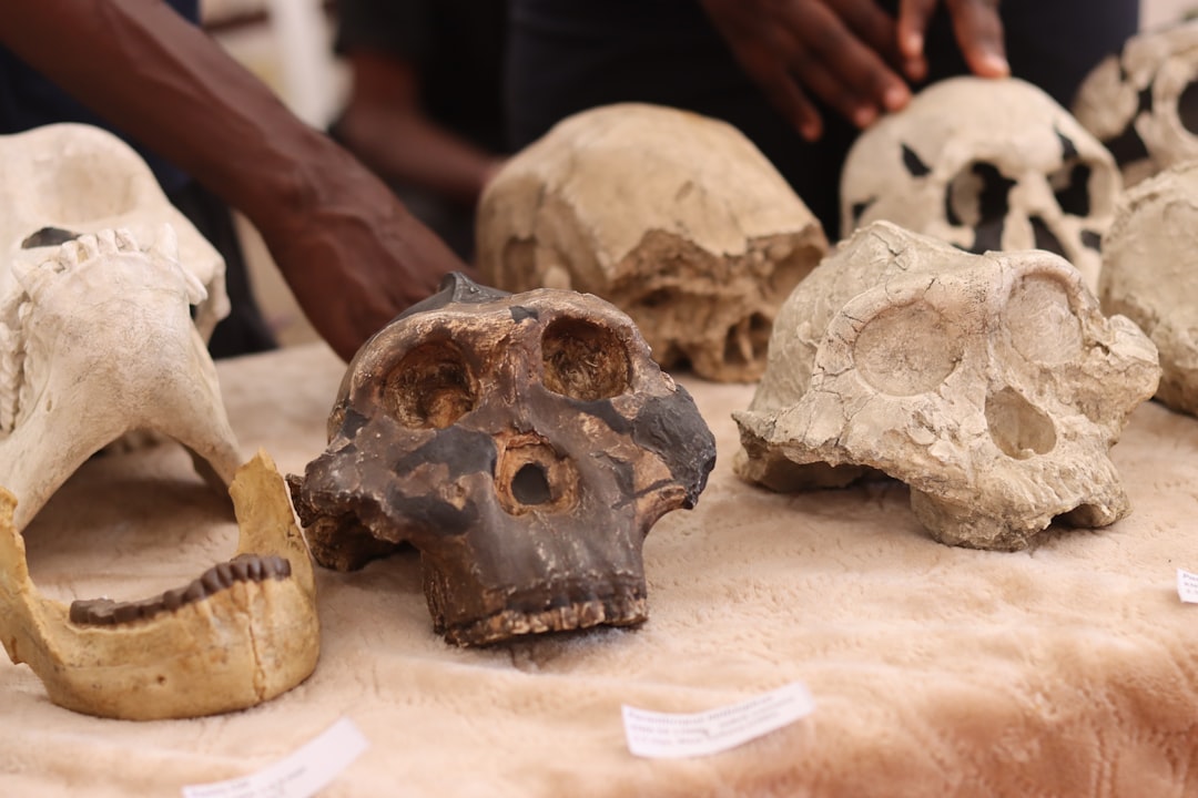 An African Story That's Been Underfunded and Overlooked (Image Credits: Unsplash)