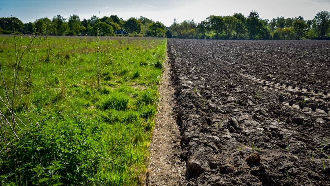 Managed Agriculture Hinders Predictability of Critical Zone Features