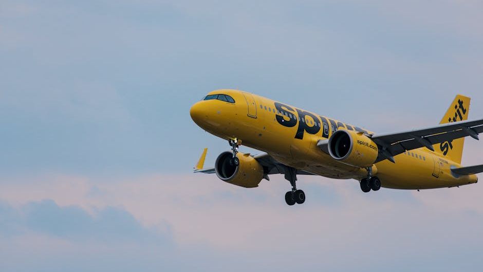 Trump says he’s still considering a taxpayer-funded deal to bail out Spirit Airlines