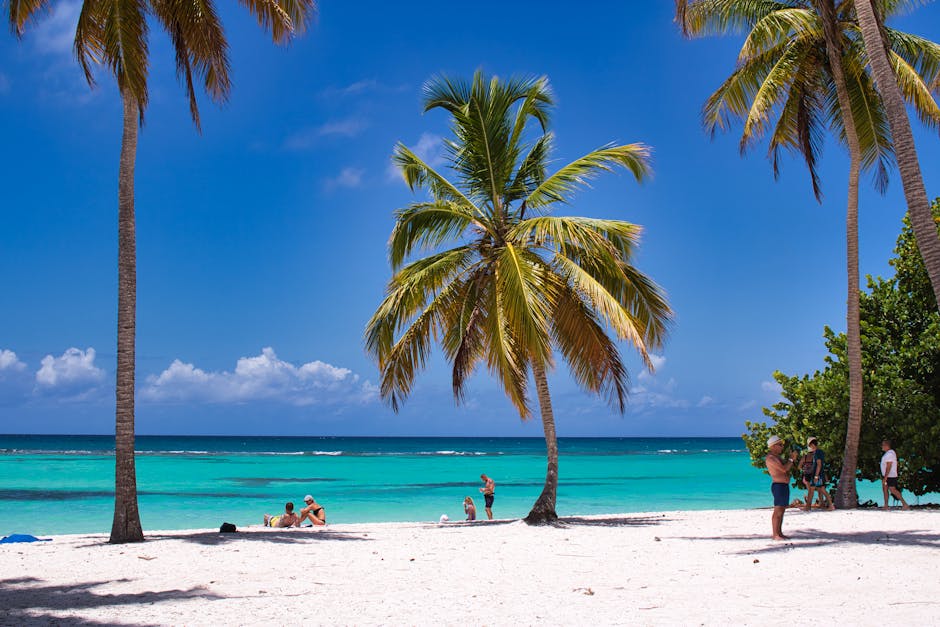 Antigua and Barbuda: The Most Family-Friendly Program in the Region (Image Credits: Pexels)