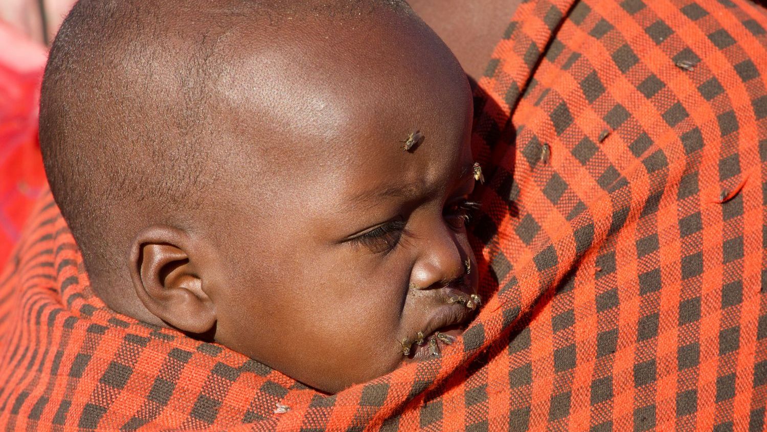 First malaria drug for babies is approved in ‘major public health milestone’