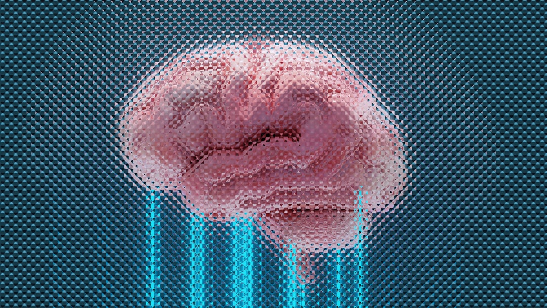 Confirmation Bias: The Brain's Comfort-First Policy (Image Credits: Unsplash)