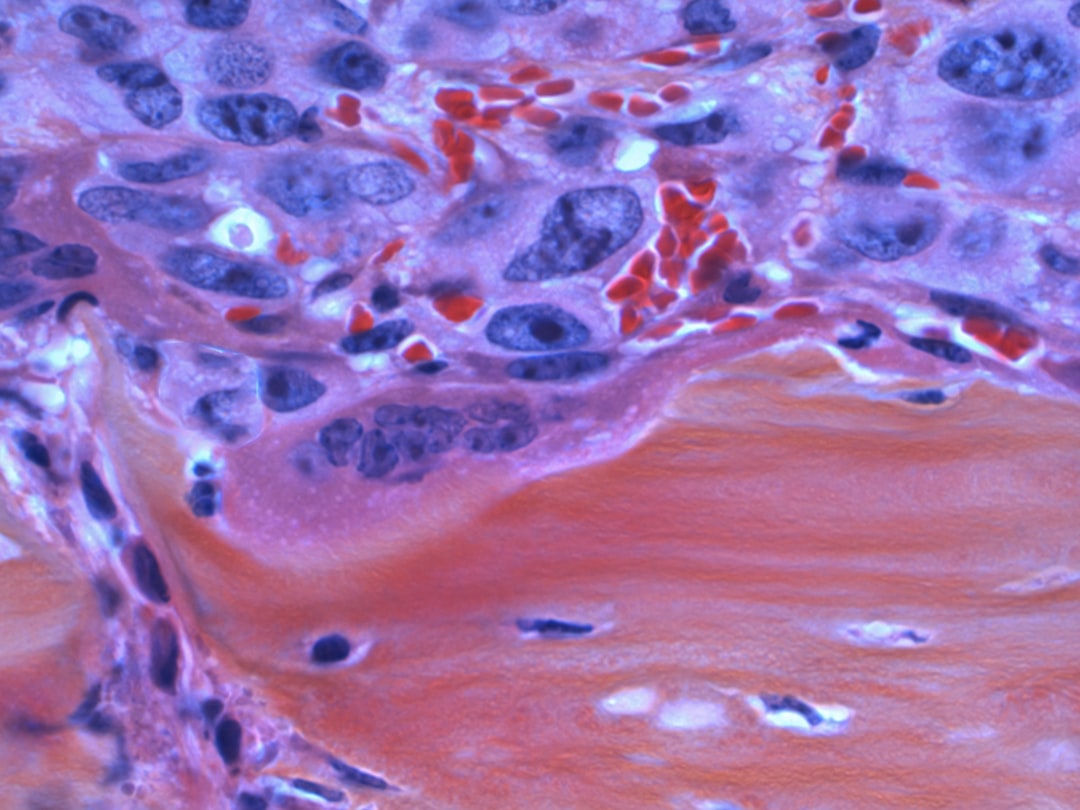 The Cytokine Cascade: How Resentment Inflames the Body (Image Credits: Unsplash)