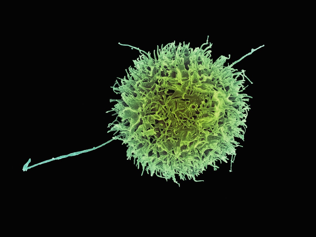 Natural Killer Cells and the Weakening of Your First Line of Defense (Image Credits: Unsplash)