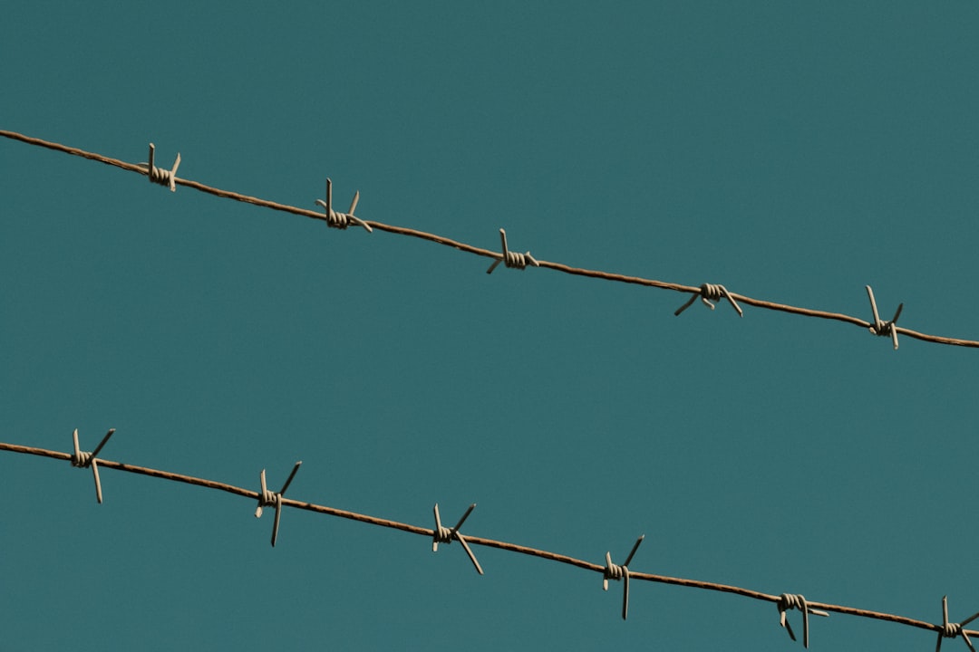 3. Thorny Hedges and Defensive Landscaping (Image Credits: Unsplash)