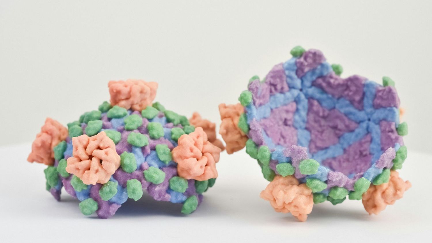 Hidden plant molecules show up to 25 times stronger activity against Ebola and COVID-19