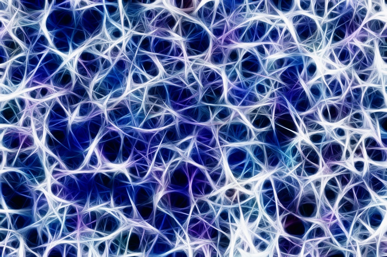 What the Vagus Nerve Actually Does (Image Credits: Pixabay)