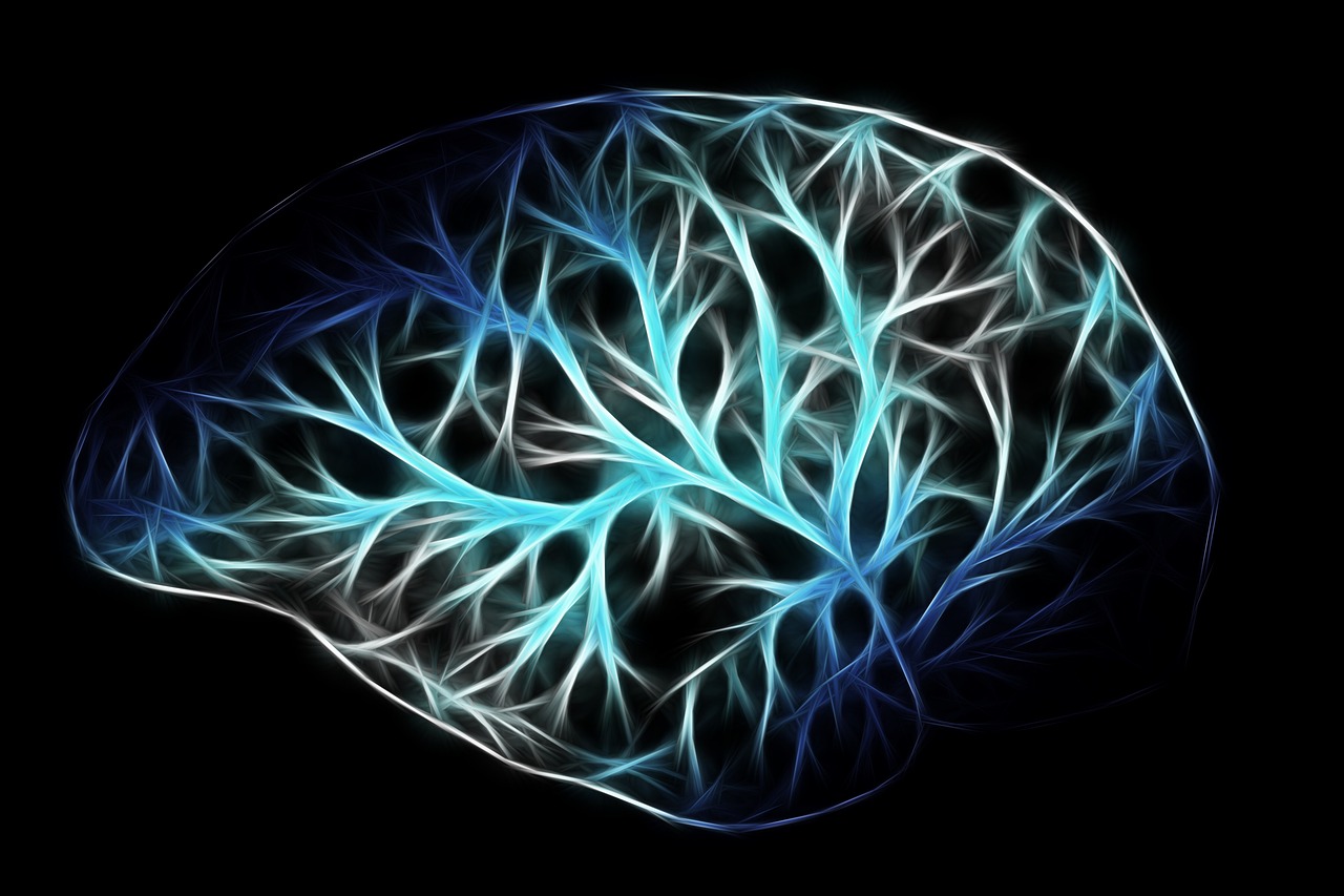 The Brain Response: What Happens When You Activate the Vagus (Image Credits: Pixabay)