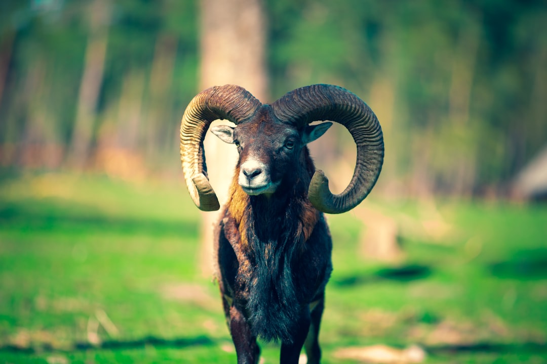 The Cultural Shift Nobody Sees Coming (Image Credits: Unsplash)