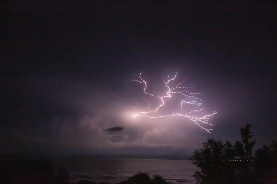 The Bell Island Boom: A Case Study in Coastal Mystery (Image Credits: Pexels)