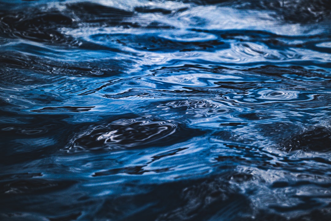 Water Signs: Cancer, Scorpio, Pisces and Covert Ego Masking as Sensitivity (Image Credits: Unsplash)