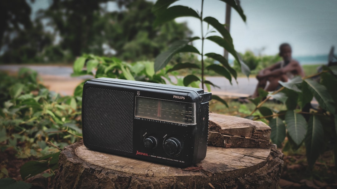 Item 2: A Hand-Crank NOAA Weather Alert Radio (Image Credits: Unsplash)