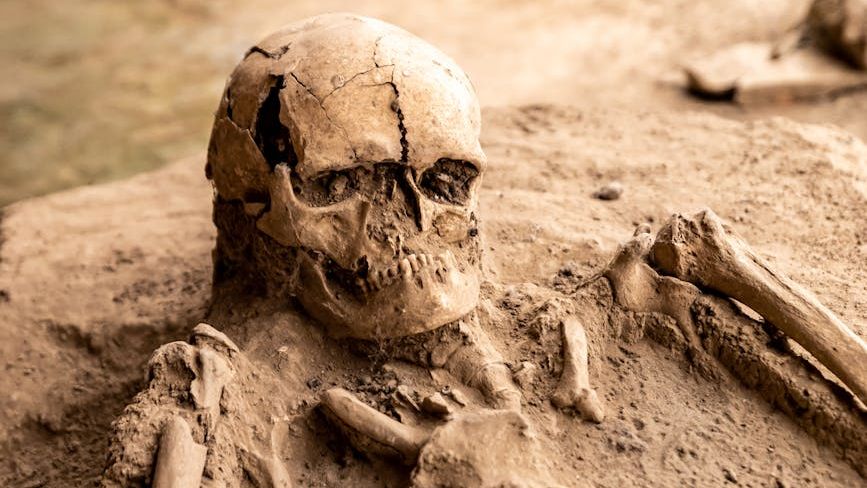 Our Human Ancestors Dined on Takeout