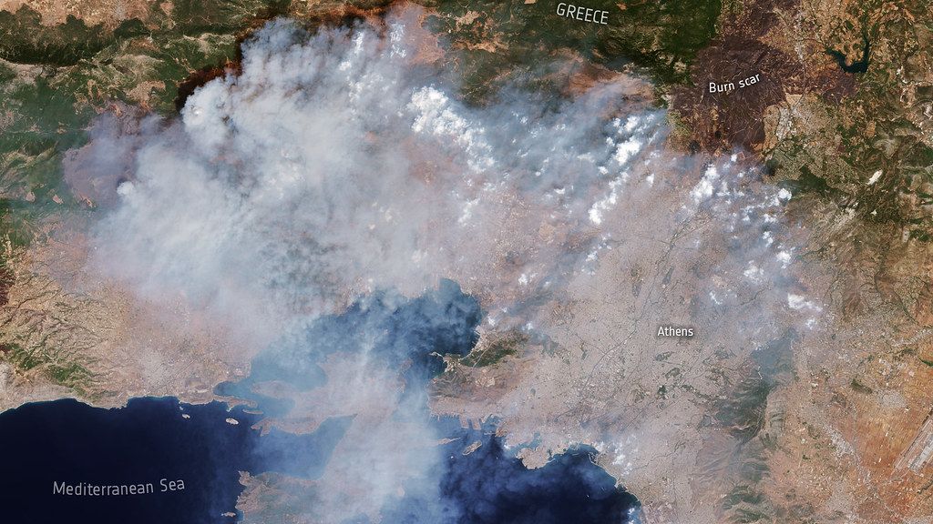 Want to Predict Wildfire Severity? Look to the State of Vegetation