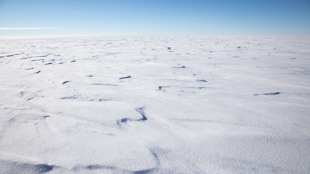 Drone Imagery Reveals Marked Variability in Antarctic Snow Roughness