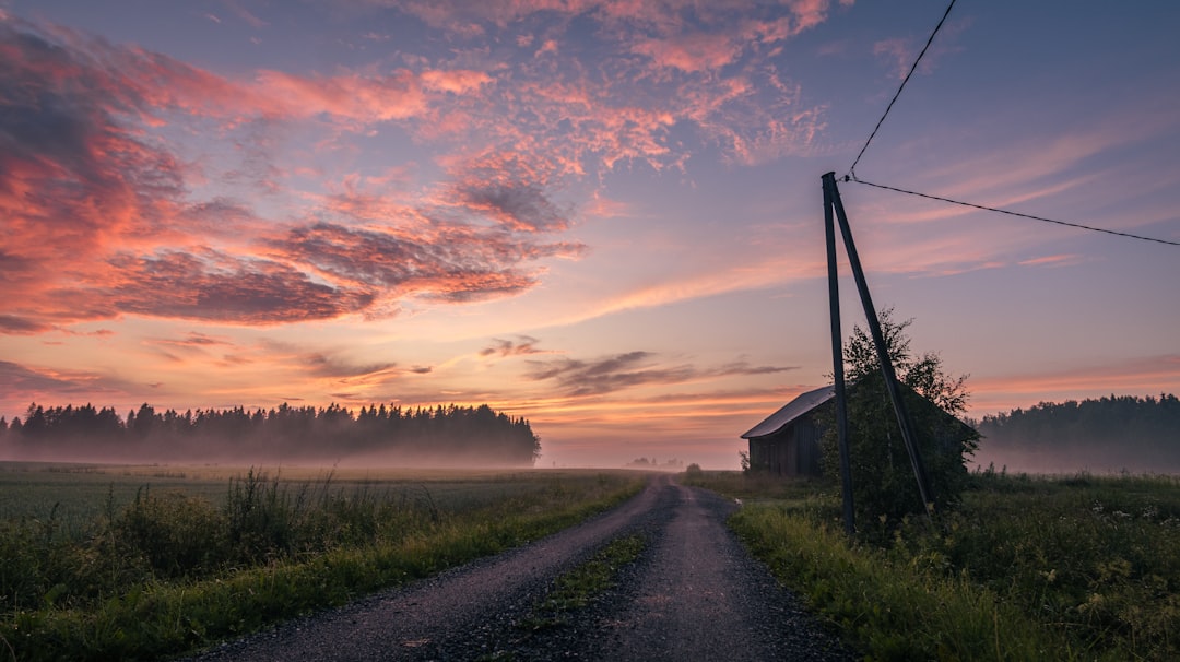 Three Electric Fields for One Uniformly Charged Universe