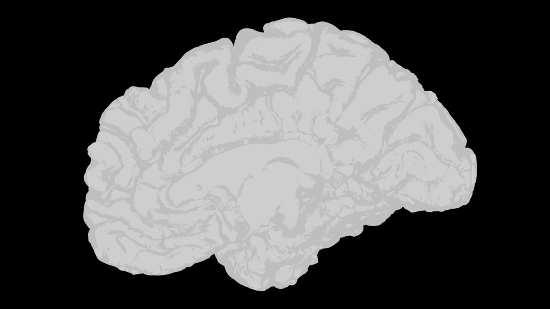 What Happens in the Brain When a Placebo Works (Image Credits: Unsplash)