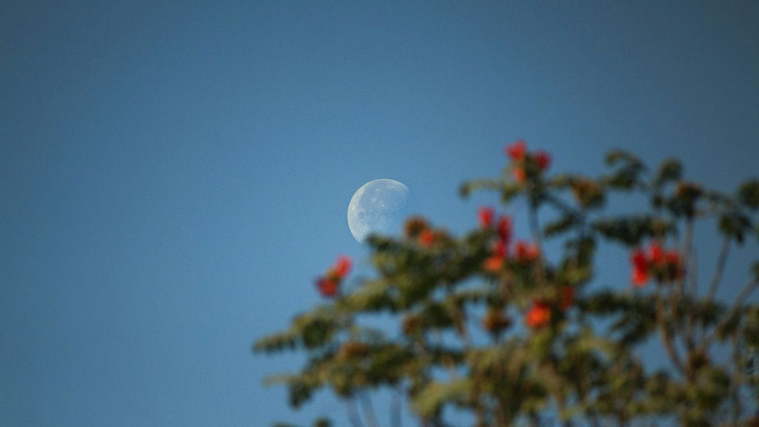 Moon’s Formation In Many Ways Still Remains A Mystery