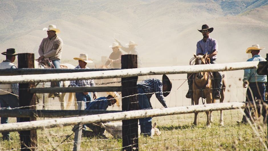 Why a Montana rancher is speaking up for climate action