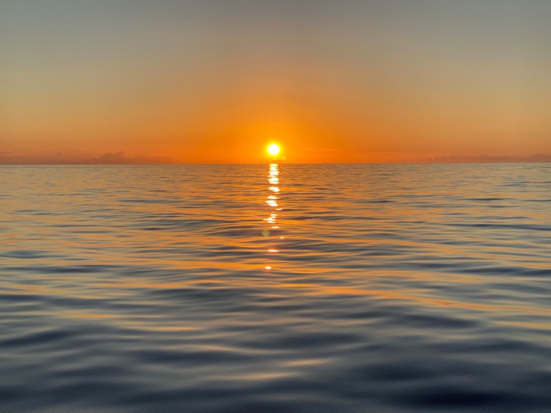The Four Distinct Types of Green Flash (Image Credits: Unsplash)