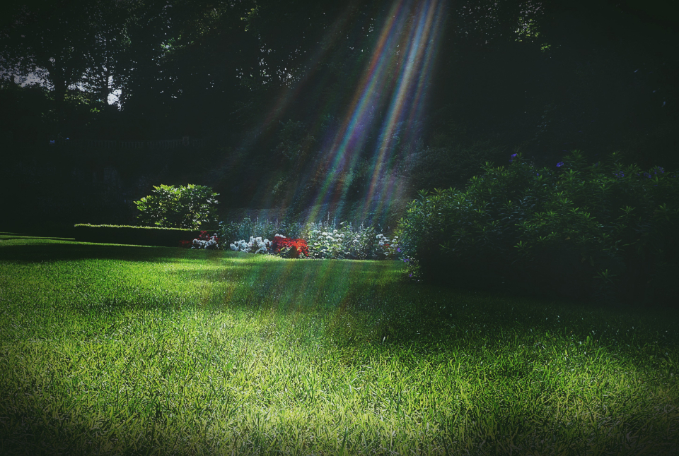 Jules Verne and the Legend Behind the Light (Image Credits: Stocksnap)