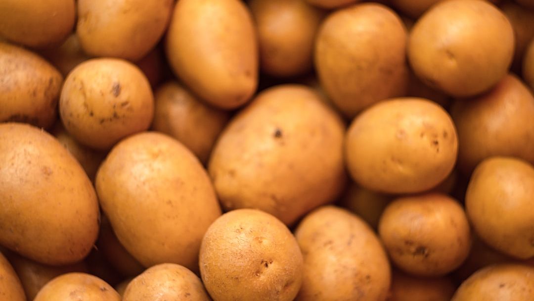 How Potatoes Shaped the Genes of the First People to Grow Them