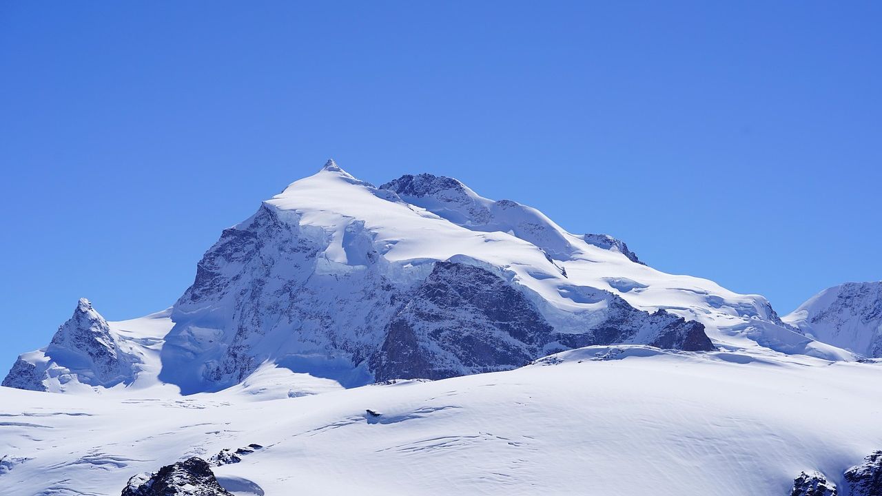 GLUE earnings ahead: Can Monte Rosa rebound from revenue miss?