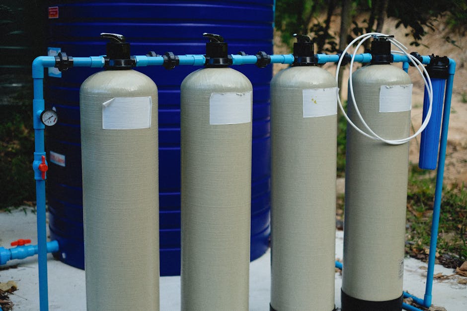 How It Compares to Other Long-Lasting Options (Image Credits: Pexels)