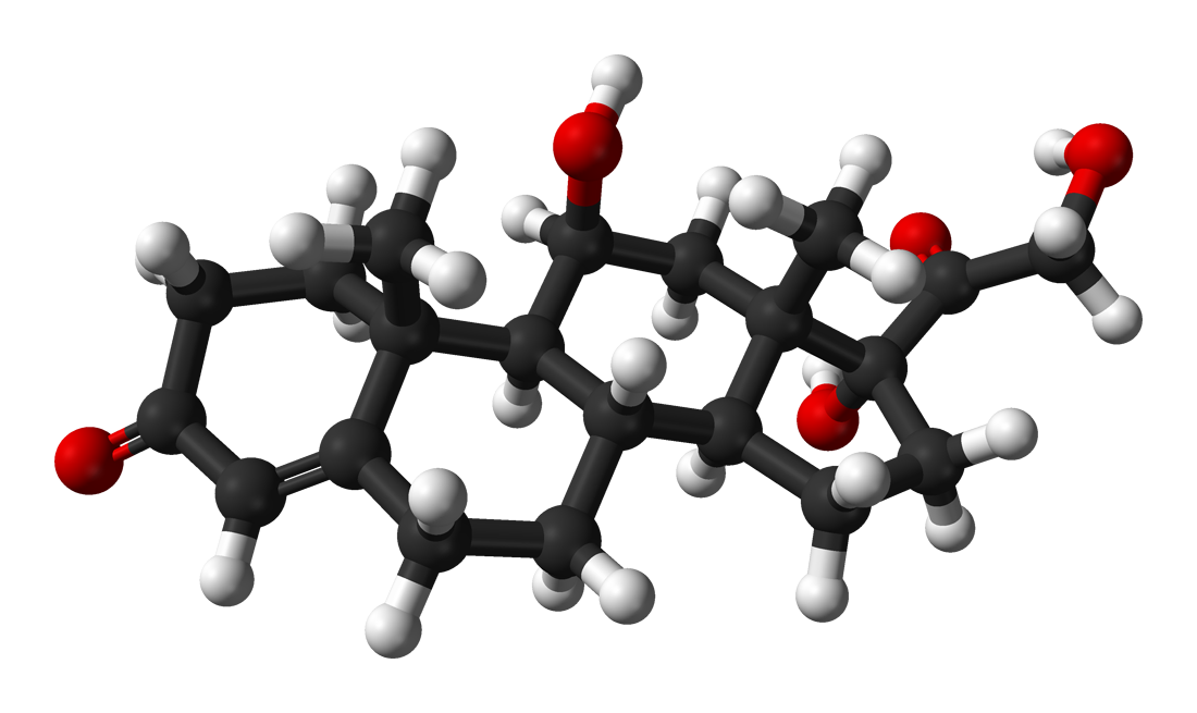 An Abnormal CAR and Its Health Consequences (By Ben Mills, Public domain)