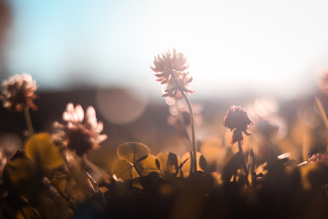 What to Do Instead: Protecting Your Morning Cortisol Window (Image Credits: Unsplash)