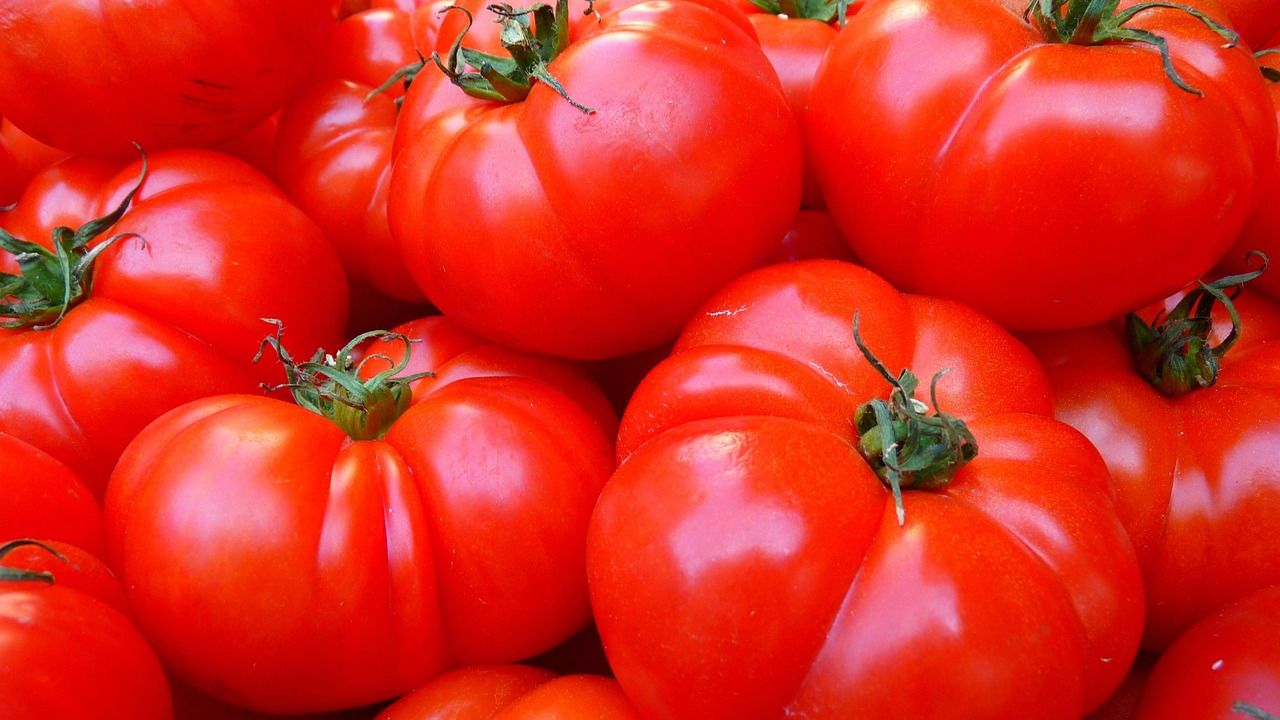 Food manufacturer Cento is committing "tomato fraud," lawsuit alleges