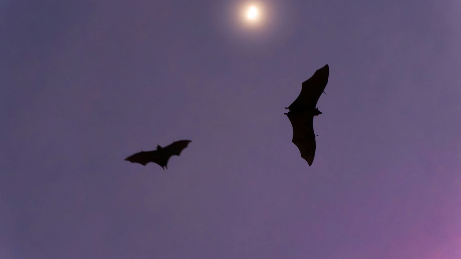 This Simple Sound Trick Enables People To ‘See’ In The Dark (M)