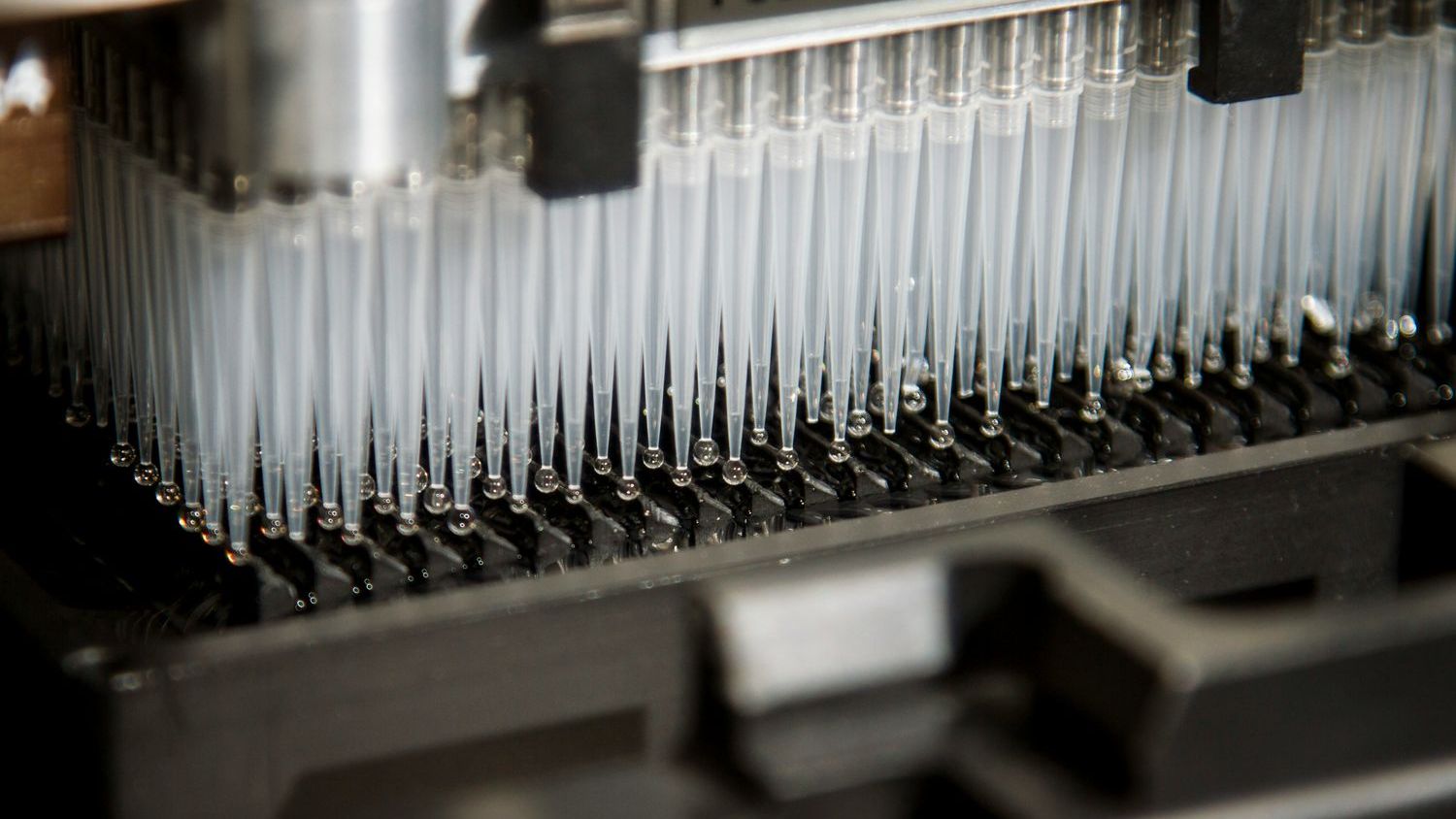 Scientists accidentally discover DNA that breaks the rules of life