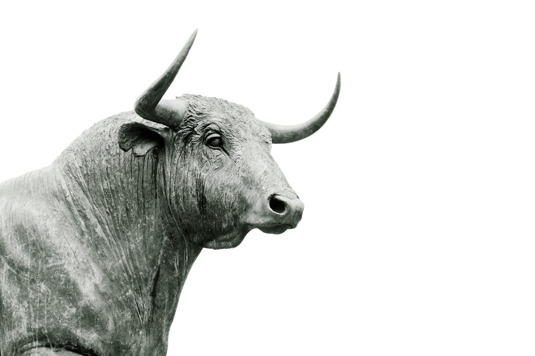 Taurus: When Security Structures Start to Crack (Image Credits: Unsplash)