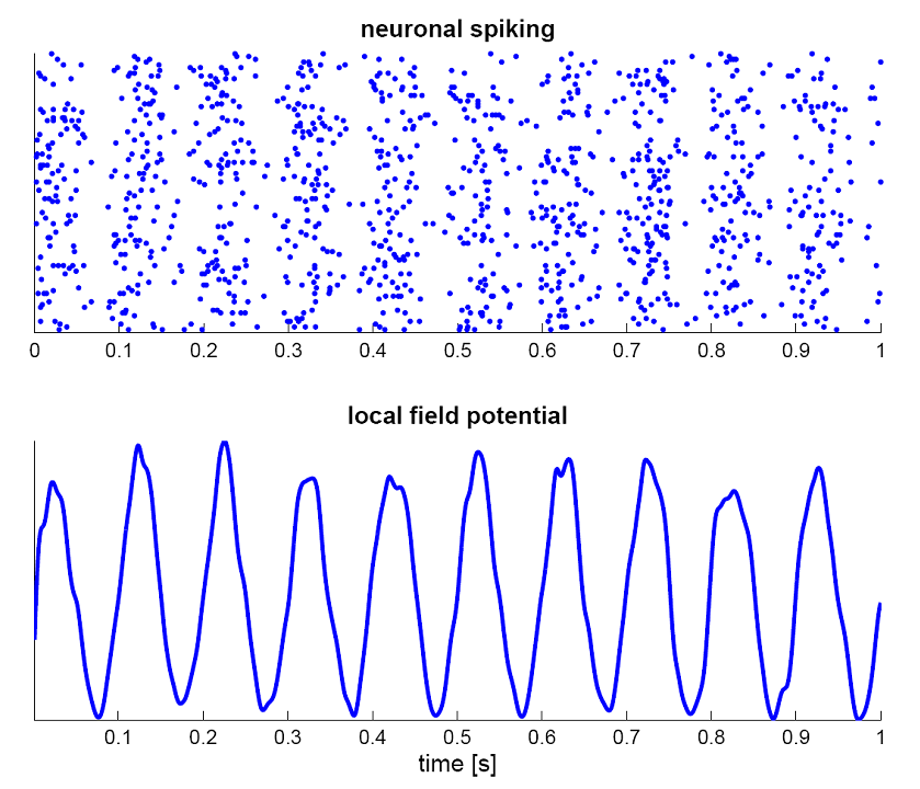 The Ultradian Rhythm: Your Brain's Built-In Timer (By TjeerdB, Public domain)