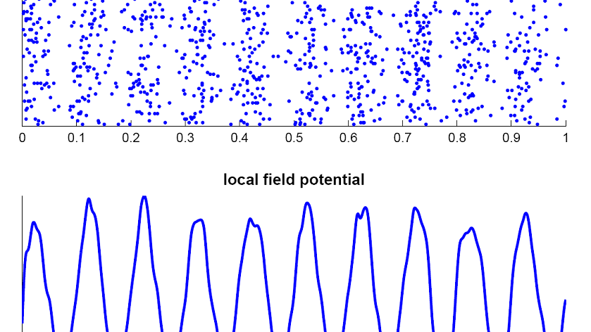 The "Flow State" Formula: The Mathematical Reason Your Brain Only Functions at 100% Capacity for 90 Minutes
