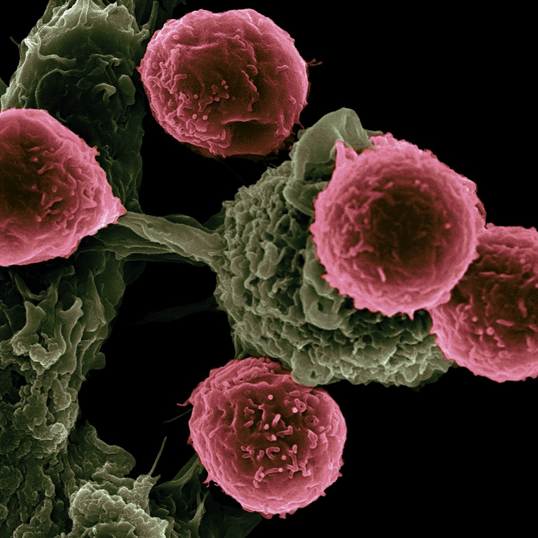 The Inflammation Connection (Image Credits: Unsplash)