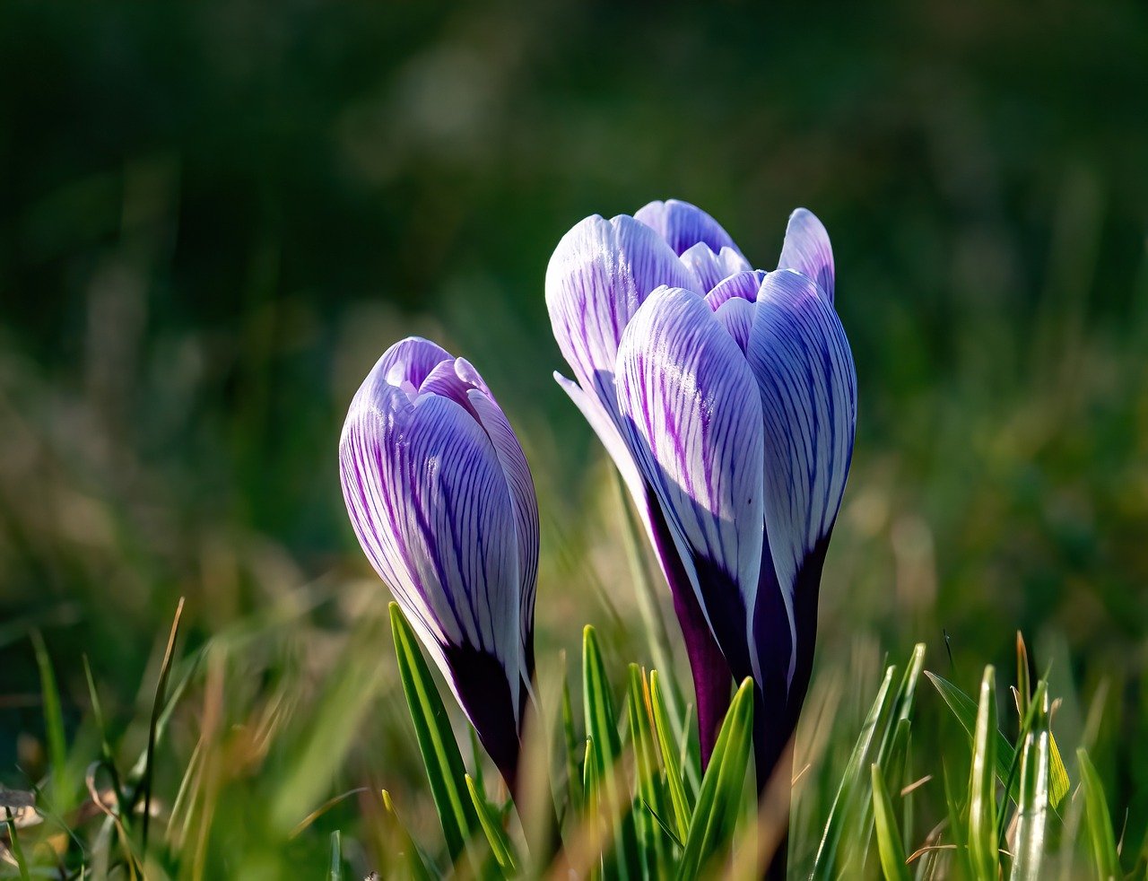 Use the Psychology of Fresh Starts to Your Advantage (Image Credits: Pixabay)