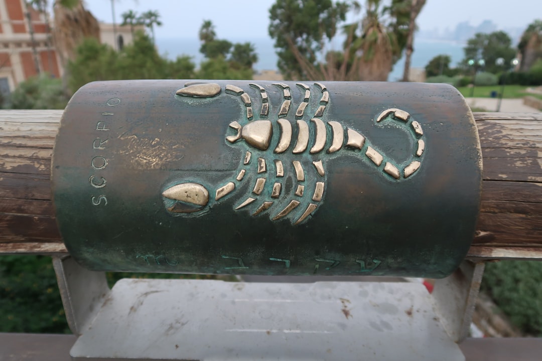 Sign #1: Scorpio - The Hidden Inheritance Unlocks (Image Credits: Unsplash)