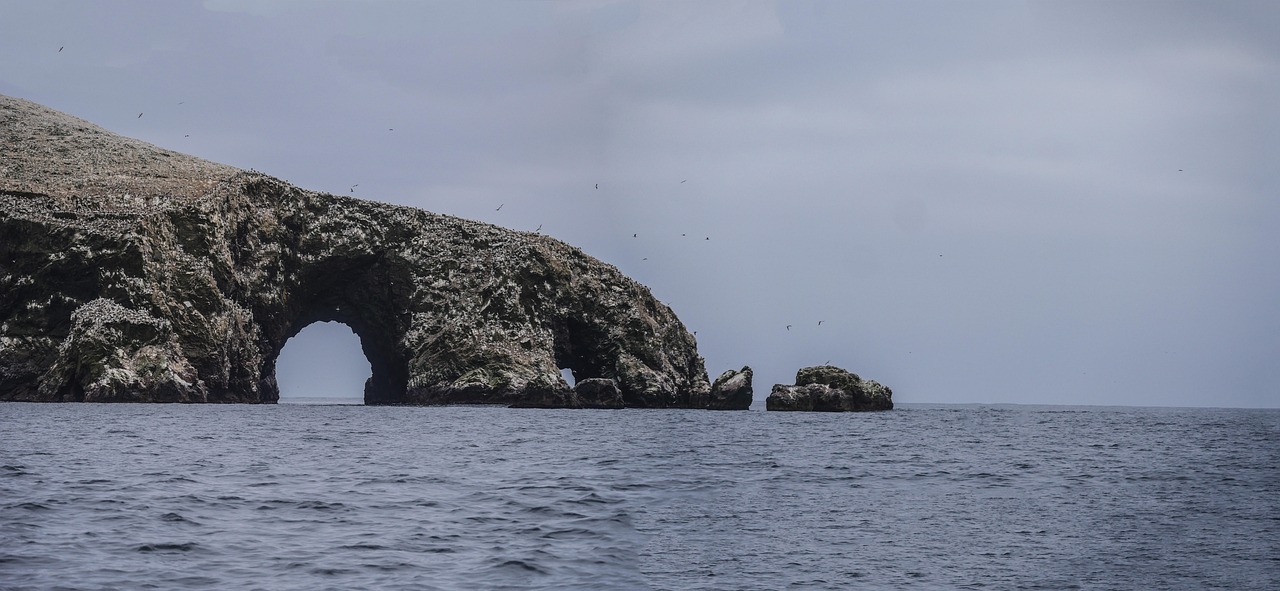 The Guano Miners Who Changed History (Image Credits: Pixabay)